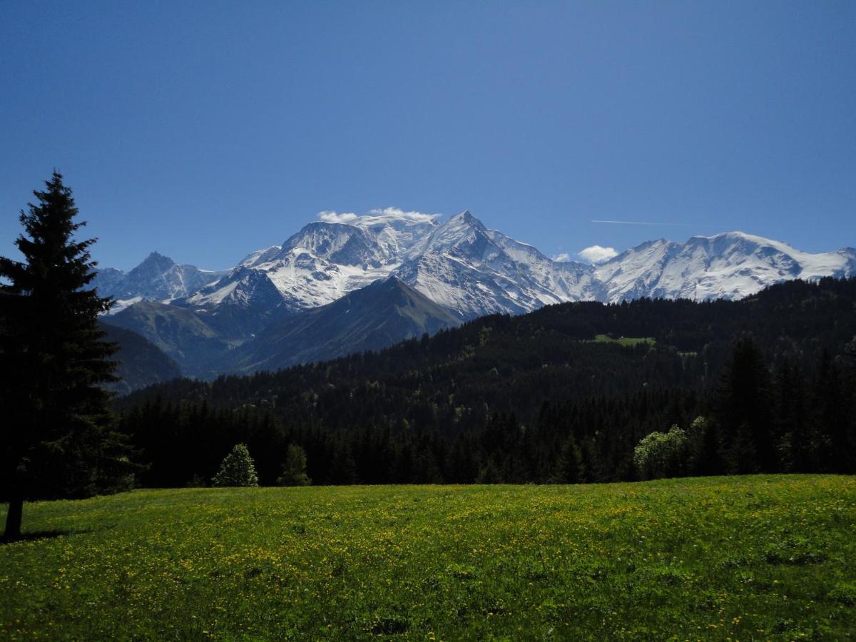 Duo Des Alpages Vue Exceptionnelle Sur Le Mont Blc Lejlighed Saint-Gervais-les-Bains Eksteriør billede